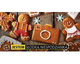 Biuletyn Nikon Polska, grudzień 2016