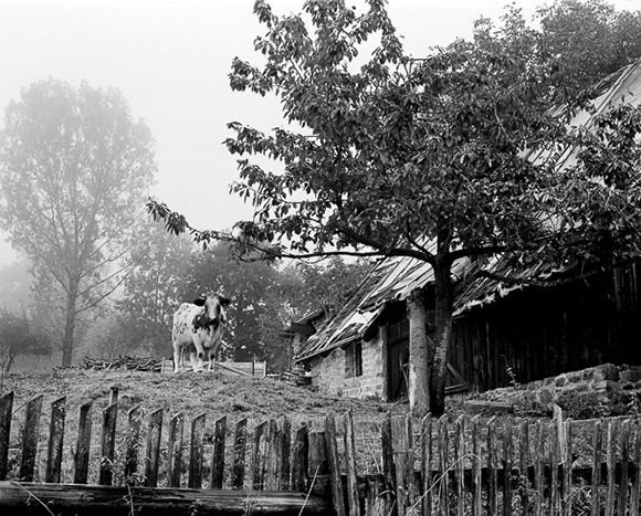 Autorka fotografii: Kamila Bernacka