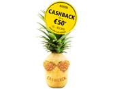 Start der großen Nikon Cashback-Sommer-Promotion