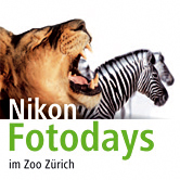 Nikon Fotodays im Zoo Zürich