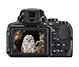 COOLPIX P900