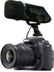 Nikon D300S – breid uw creatieve mogelijkheden uit met stilstaande beelden en films